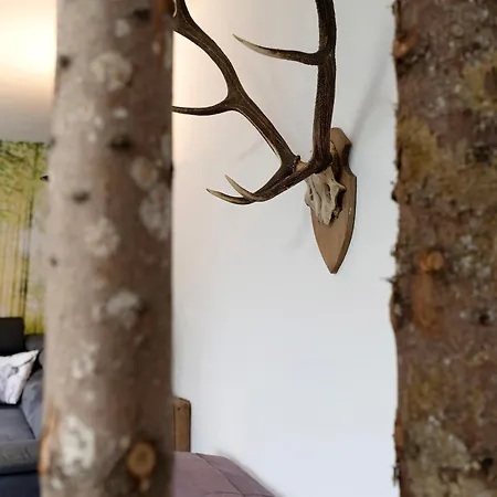 Apartment Eichwald