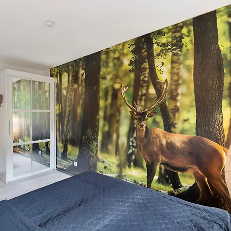 Eichwald Lägenhet Freudenstadt